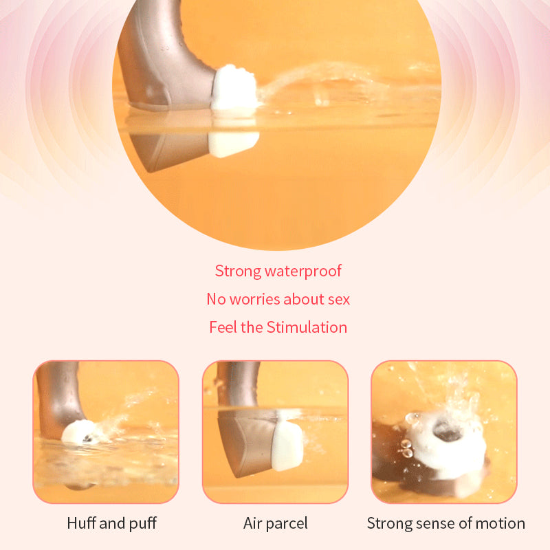 Satisfyer Pro2 Plus Vibration Air Pulse Clitoris Stimulating Vibrator