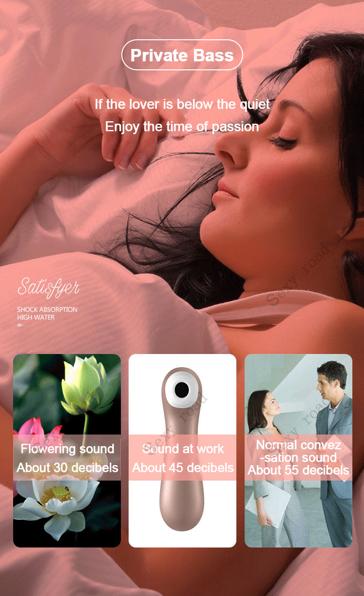 Satisfyer Pro2 Plus Vibration Air Pulse Clitoris Stimulating Vibrator