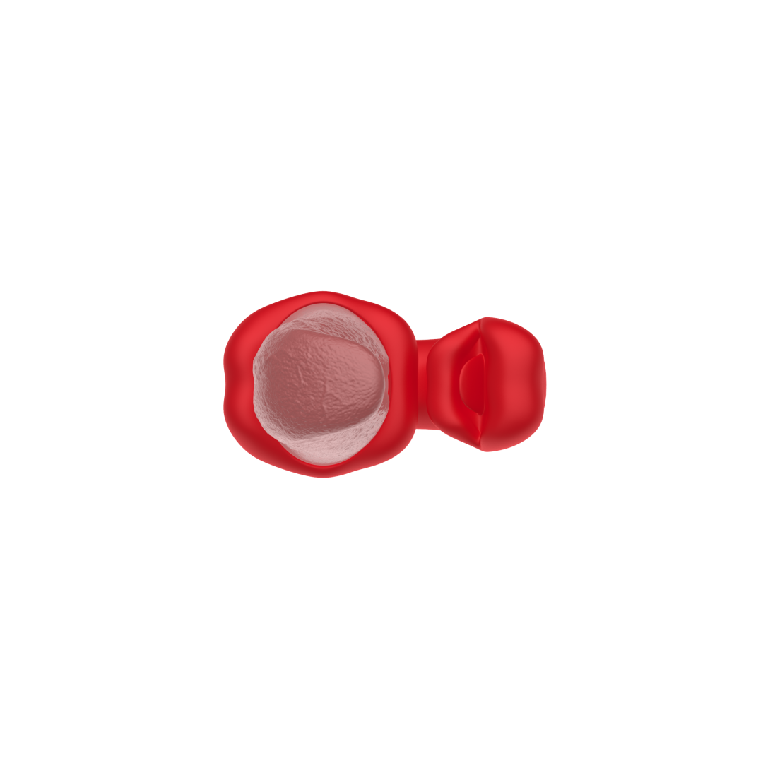 Haiwei” Dual-Action Silicone Massager | 10 Tongue Swing & 10 Vibration Modes | 3 Motors | Type-C Charging | IPX5 Waterproof