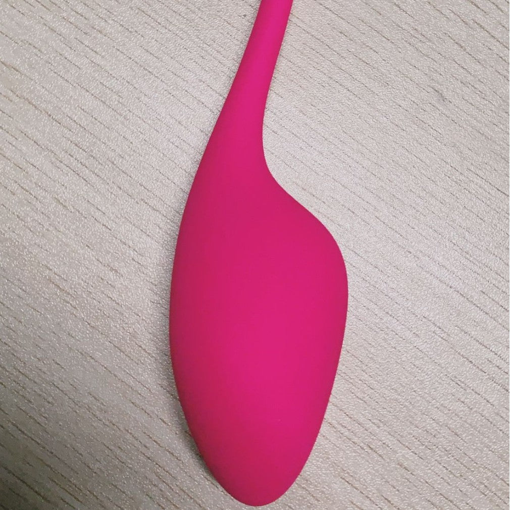Live Broadcast App-Controlled Vibrating Egg – Bluetooth Remote Wearable Massager for Women | High-End Waterproof Silicone Toy