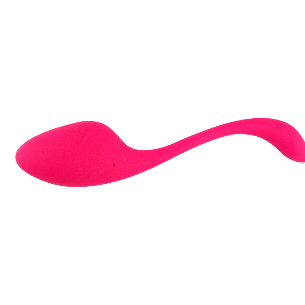 Live Broadcast App-Controlled Vibrating Egg – Bluetooth Remote Wearable Massager for Women | High-End Waterproof Silicone Toy