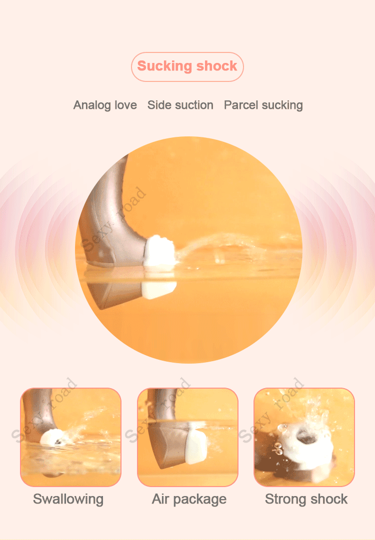 Satisfyer Pro2 Plus Vibration Air Pulse Clitoris Stimulating Vibrator